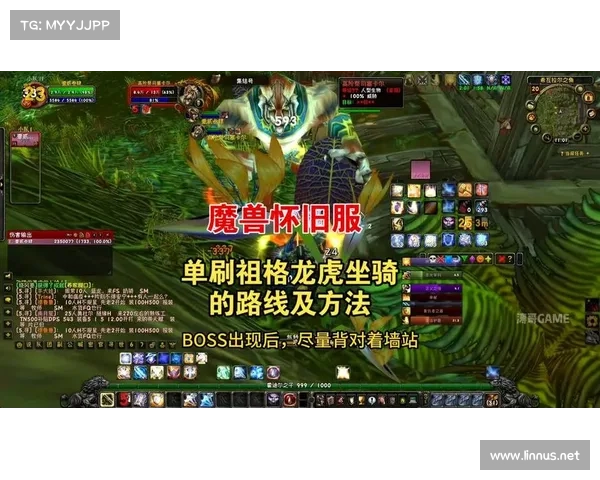 魔兽世界怀旧服:探寻40级侏儒坐骑的秘密